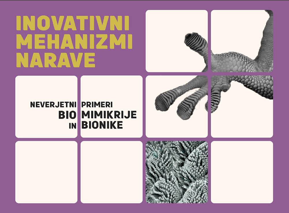 Inovativni mehanizmi narave // FZNG2026